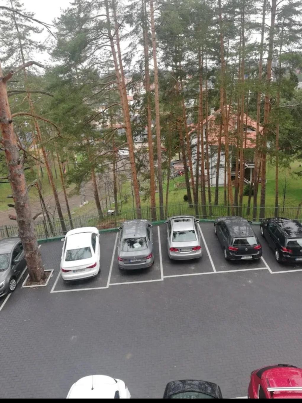 Lana Lux Zlatibor